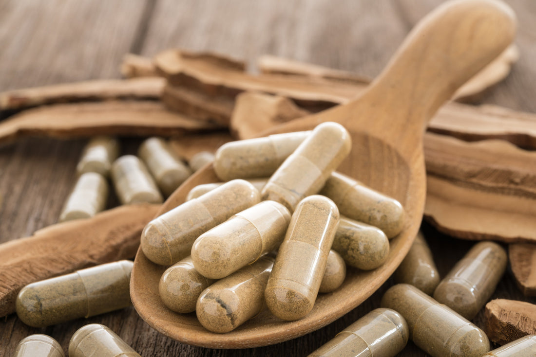 Mental wellness supplement capsules for brain health, focus, stress support and nervous system balance.