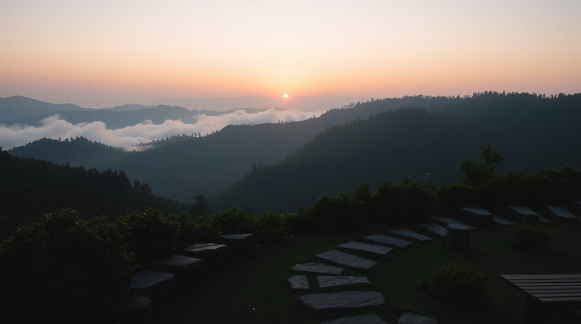 slider image 1621243260e1af0c20-0